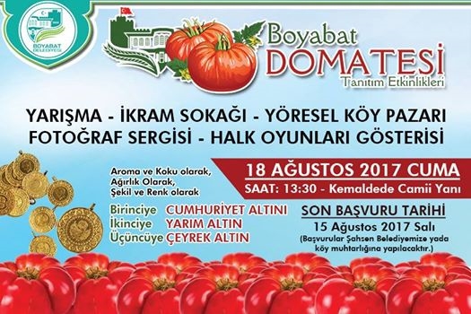 BOYABAT BELEDİYESİ BOYABAT DOMATESİ TANITIM ETKİNLİĞİ YAPIYOR.
