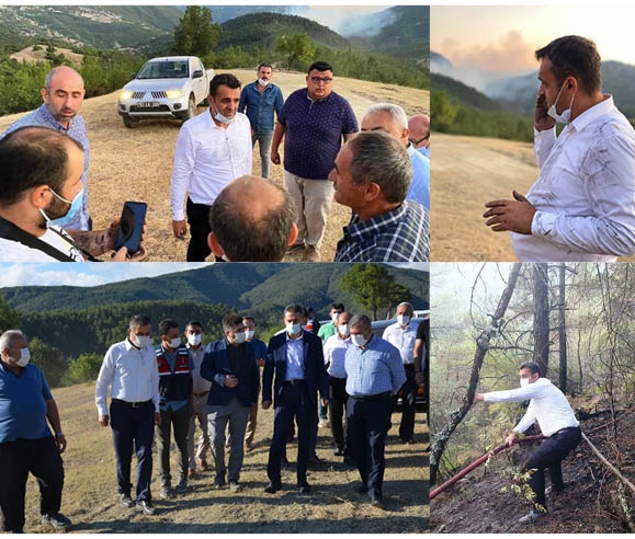 CİĞERLERİMİZ YANDI !