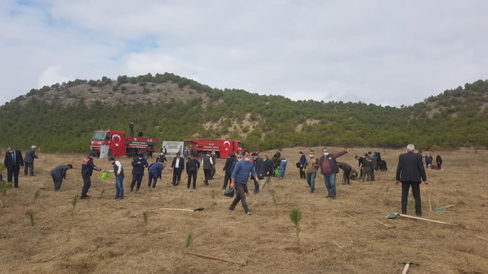 ‘BUGÜN FİDAN YARIN NEFES’ DEDİLER FİDANLARI TOPRAKLA BULUŞTURDULAR…
