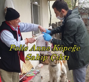 Anne köpeğe polis ekipleri Sahip Çıktı