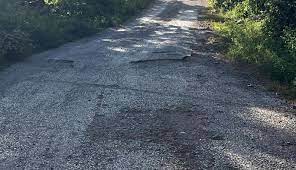 Sarımsak köyünden yolların onarılması talebi